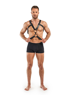 Bedroom Fantasies Rocco Masculine Masterpiece - портупея Bedroom Fantasies Rocco Masculine Masterpiece - портупея