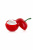 Возбуждающий крем для сосков EXSENS Crazy Love Cherry, 8 мл (вишня)