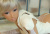 Real Doll - Секс-кукла Ally Real Doll - Секс-кукла Ally
