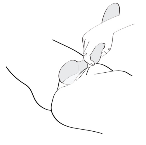 Shunga - Zoa Intimate Massager - Вибратор (чёрный)