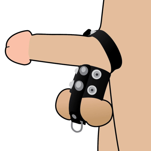Ерекційне кільце Wild Play Cock And Ball Strap C20 - купити в Києві, Україні