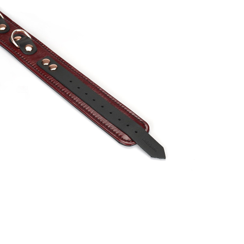 Шкіряний нашийник з повідцем Liebe Seele Wine Red Collar and Leash - купити в Україні | Секс шоп SEX-SHOP.ua
