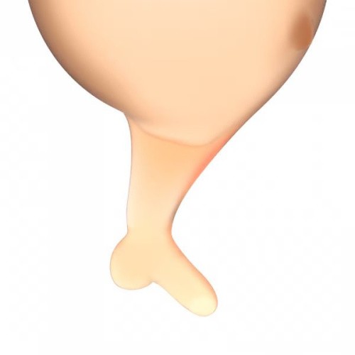 Satisfyer Feel Secure - набор менструальных чаш, 15 мл и 20 мл (оранжевый)