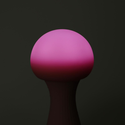 Вибромассажер Otouch Mushroom