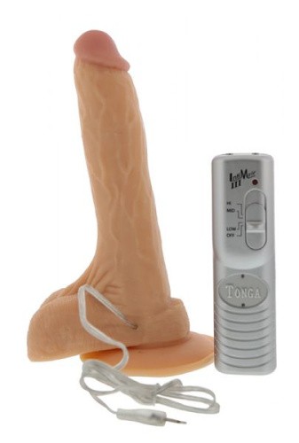 Hey Chica Vibrator - Реалістичний вібратор на присосці з виносним пультом, 20.5х4 см - купити в Києві, Україні