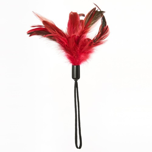 Sportsheets - Pleasure Feather Red - Метелочка-щекоталка на веревочной петле