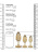 набор анальных пробок Ouch! Acrylic Golden Glitter Butt Plug Set набор анальных пробок Ouch! Acrylic Golden Glitter Butt Plug Set