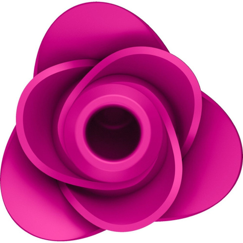 Вакуумний стимулятор Satisfyer Pro 2 Modern Blossom - купити в Києві, Україні