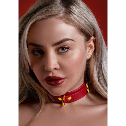 Taboom D-Ring Collar Deluxe - Нашийник (червоний) - купити в Києві, Україні