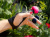 Gvibe Gring - Мини-вибратор на палец, 3х3 см (синий) Gvibe Gring - Мини-вибратор на палец, 3х3 см (синий)
