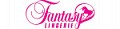 Fantasy Lingerie