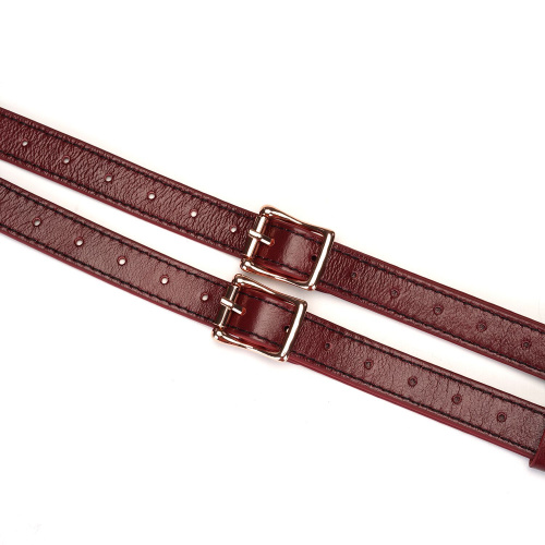 Шкіряні трусики для страпона Liebe Seele Wine Red Strap on Harness, універсальний розмір - купити в Україні | Секс шоп SEX-SHOP.ua