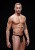 BACI-ENVY Fishnet Sport Thong - Мужские стринги в сеточку, S/M (чёрный) BACI-ENVY Fishnet Sport Thong - Мужские стринги в сеточку, S/M (чёрный)