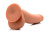 8 Inch Ultra Real Dual Layer Suction Cup Dildo - Medium Skin Tone - фаллоимитатор 18х5 см. (телесный) 8 Inch Ultra Real Dual Layer Suction Cup Dildo - Medium Skin Tone - фаллоимитатор 18х5 см. (телесный)