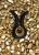 Gvibe Mini Gold - Эксклюзивный вибромассажер с 24К золотом. Лимитированный выпуск!, 10,5х2 см (черный) Gvibe Mini Gold - Эксклюзивный вибромассажер с 24К золотом. Лимитированный выпуск!, 10,5х2 см (черный)