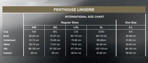 Мини-платье и стринги Penthouse - Heart Rob, S/M