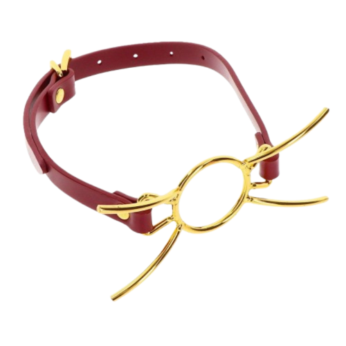 Кляп-кольцо Taboom Open Mouth Spider Gag
