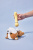 Вібратор Friday Bae TOYS+ - купити в Києві, Україні Вібратор Friday Bae TOYS+ - купити в Києві, Україні