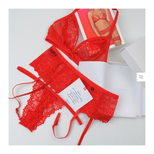 Obsessive 838-SEG-3 set - кружевной комплект с поясом для чулок, S/M (красный)