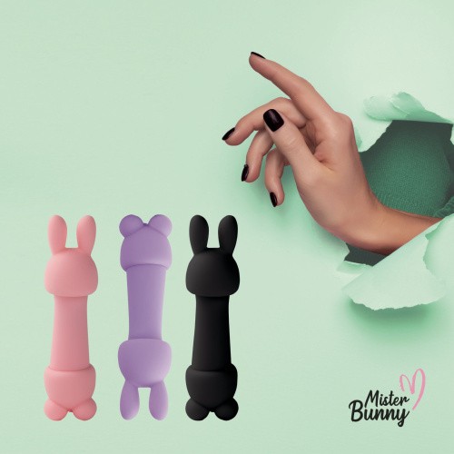 FeelzToys Mister Bunny - Мини-вибратор  с двумя насадками, 13.5х3.5 см, (розовый)