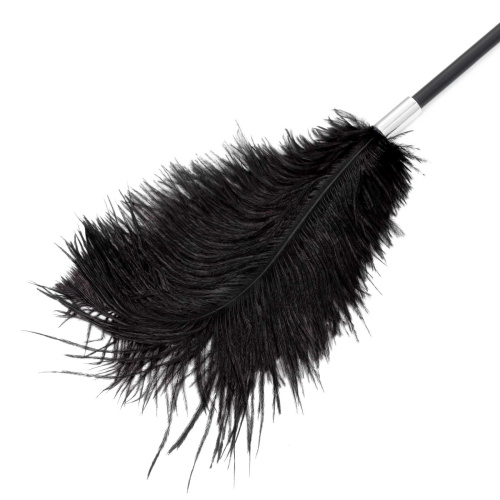 Стек Fetish B-Series Tickler & Whip 1.0