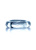 Эрекционное кольцо B-Series Cockring