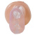 Topco Sales CyberSkin Ice Action-View Pussy and Ass Stroker - Мастурбатор вагина и анус, 16 см (прозрачный)
