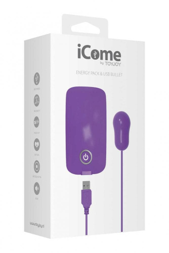 Виброяйцо Energy Pack With Usb Bullet, 5,5х3 см (фиолетовый)