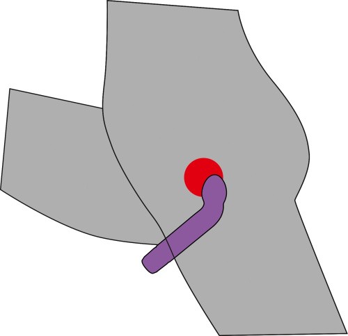 Orion G + P-Spot Lover Vibrator - Cтимулятор G-точки, 16х3.2 см (фиолетовый)