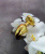 Boss Jewellery Gold Heart Plug Black - Анальная пробка с кристаллом, 7х2,7 см (черный) Boss Jewellery Gold Heart Plug Black - Анальная пробка с кристаллом, 7х2,7 см (черный)