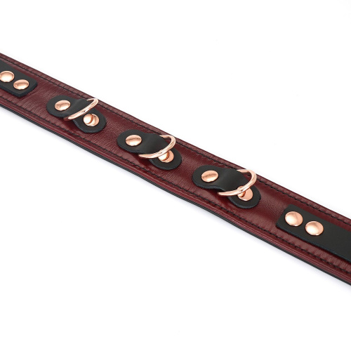 Шкіряний нашийник з повідцем Liebe Seele Wine Red Collar and Leash - купити в Україні | Секс шоп SEX-SHOP.ua