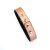 Ошейник с зажимами для сосков Liebe Seele Rose Gold Memory Collar with Nipple Clamps Ошейник с зажимами для сосков Liebe Seele Rose Gold Memory Collar with Nipple Clamps