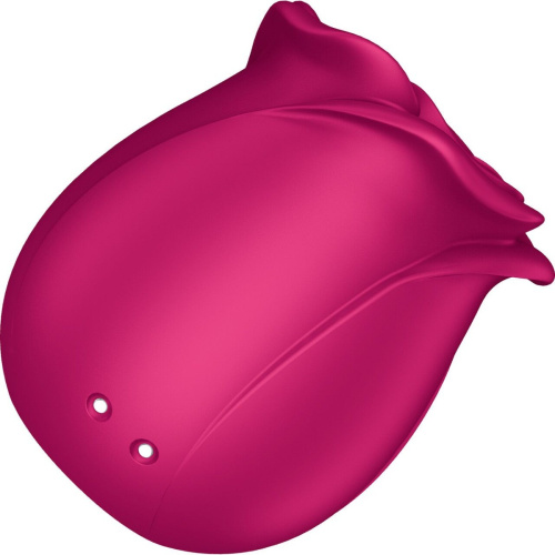 Вакуумный стимулятор Satisfyer Pro 2 Classic Blossom