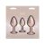 Набор анальных пробок NS Novelties Rear Assets - Trainer Kit - Iridescent Champagne