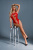 Бодістокінг Caprice Lingerie Model 02, One size - купити в Україні | Секс шоп SEX-SHOP.ua