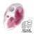 Satisfyer Cloud Dancer - Вакуумный стимулятор, 9 см (красный) Satisfyer Cloud Dancer - Вакуумный стимулятор, 9 см (красный)