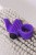 Adrien Lastic Bullet Lastic Ring - виброкольцо с язычком, 7х2.5 см (фиолетовый) Adrien Lastic Bullet Lastic Ring - виброкольцо с язычком, 7х2.5 см (фиолетовый)