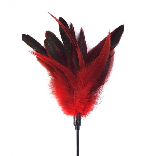 Art of Sex - Feather Paddle - Лоскітка, перо молодого півня - купити в Києві, Україні