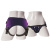 Sportsheets - Lush Strap On Purple - Трусы для страпона (фиолетовые)