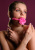 Кляп Taboom Rose Ball Gag Кляп Taboom Rose Ball Gag