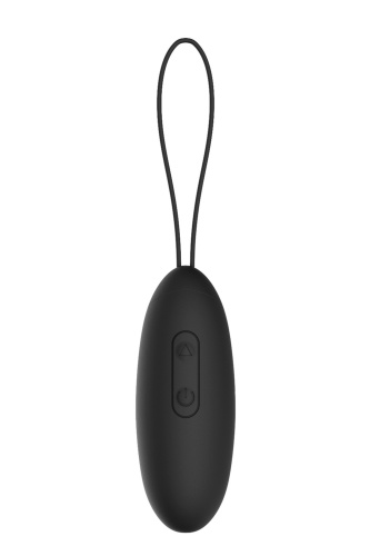 Dream Toys Elite Elize - Виброяйцо с дистанционным пультом управления, 8 см (черный)