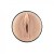 Kiiroo Feel Lauren Phillips - Мастурбатор копия вагины порнозвезды, 22х8.4 см Kiiroo Feel Lauren Phillips - Мастурбатор копия вагины порнозвезды, 22х8.4 см