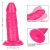 CalExotics Back End Chubby - фаллоимитатор на присоске, 14х4,5 см (розовый)