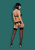 Obsessive Gretia set - эротический комплект бюстгальтер, стринги и пояс для чулок, S/M (чёрный) Obsessive Gretia set - эротический комплект бюстгальтер, стринги и пояс для чулок, S/M (чёрный)