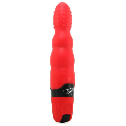Topco Sales FunZone Tempo Vivace - Мультискоростной вибратор, 14.8х4.3 см
