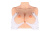 Мастурбатор Kokos Bouncing Titties D Мастурбатор Kokos Bouncing Titties D
