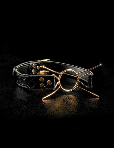 Кляп Fetish Fantasy Gold Deluxe Spider