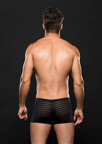 Baci Microfiber Boxer Stripe - Мужские боксеры, S/M (чёрный)