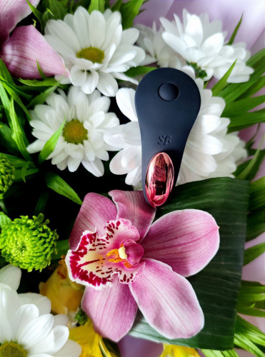 Вібратор у трусики зі смарт управлінням Satisfyer Little Secret - купити в Києві, Україні