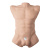 Торс с фаллоимитатором SilexD Apollo L Male Torso Торс с фаллоимитатором SilexD Apollo L Male Torso